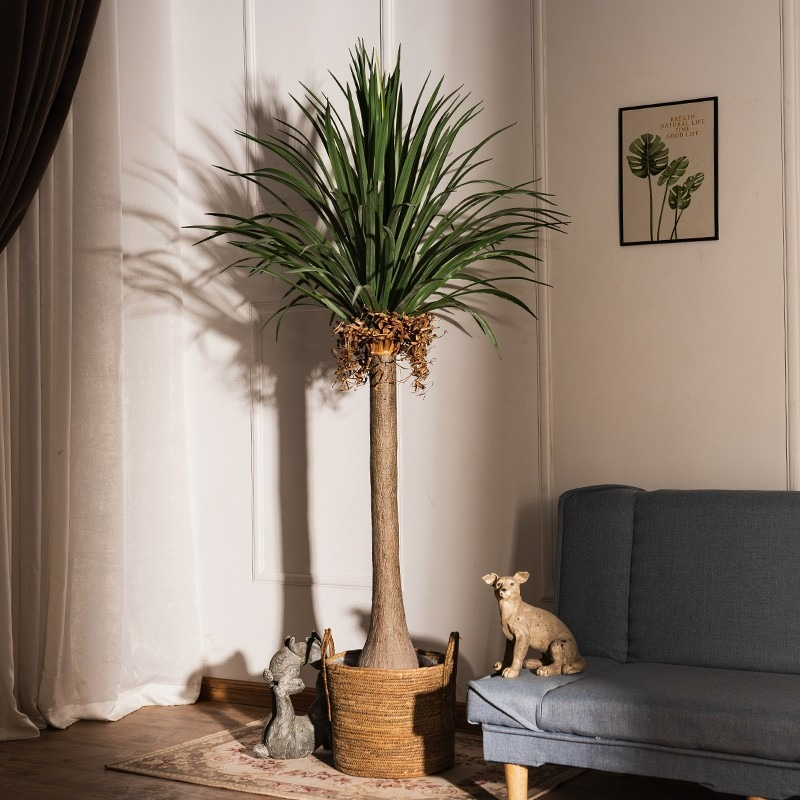Plante artificielle Dracaena à - Baby Clothing Store avis et prix